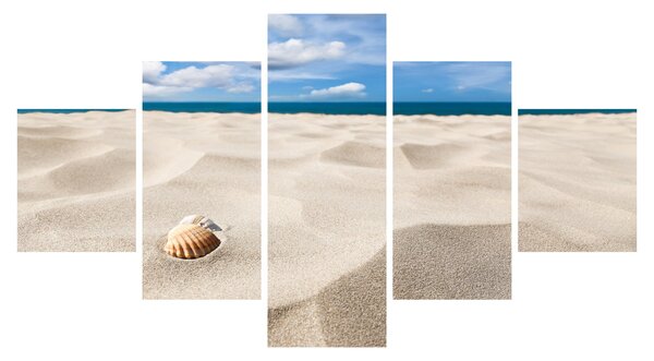 Obraz - Muszle na plaży (125x70 cm)