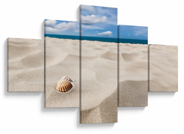 Obraz - Muszle na plaży (125x70 cm)