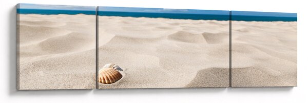 Obraz - Muszle na plaży (170x50 cm)