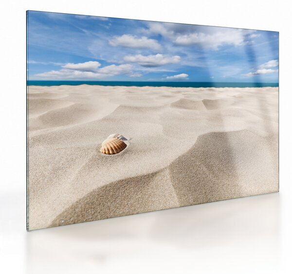 Obraz na szkle - Muszle na plaży (70x50 cm)