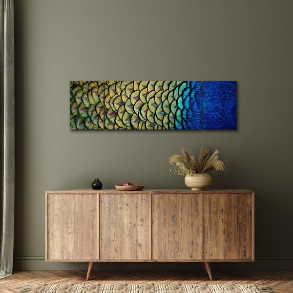 Obraz - Pawie pióra (170x50 cm)