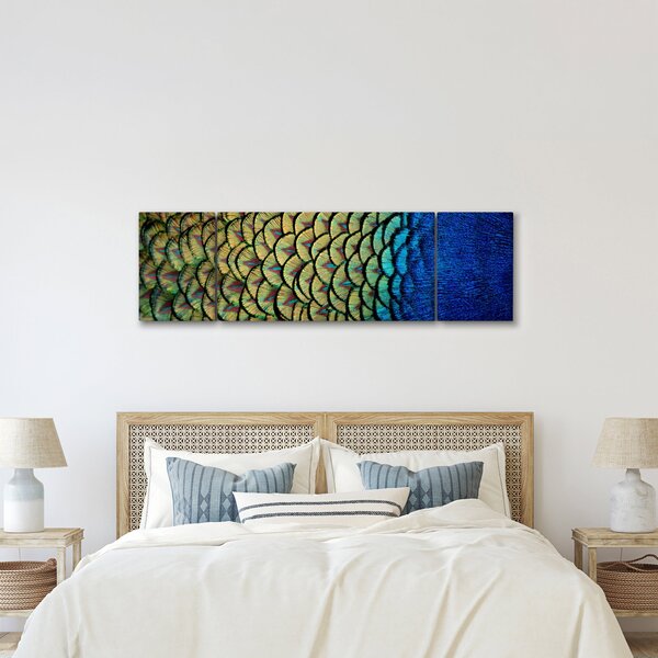 Obraz - Pawie pióra (170x50 cm)