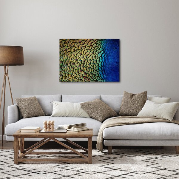 Obraz - Pawie pióra (70x50 cm)