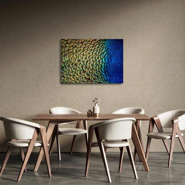 Obraz - Pawie pióra (70x50 cm)