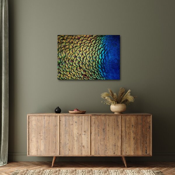 Obraz - Pawie pióra (70x50 cm)