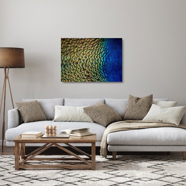 Obraz na szkle - Pawie pióra (70x50 cm)