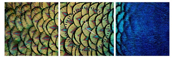 Obraz - Pawie pióra (z zegarem) (90x30 cm)