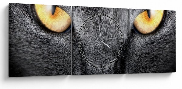Obraz - Portret kota z bliska (z zegarem) (90x30 cm)
