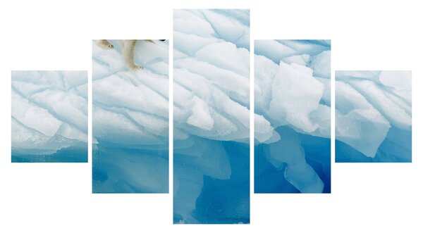 Obraz - Niedźwiedź polarny (125x70 cm)
