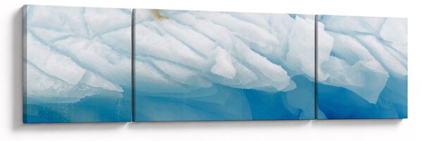 Obraz - Niedźwiedź polarny (170x50 cm)