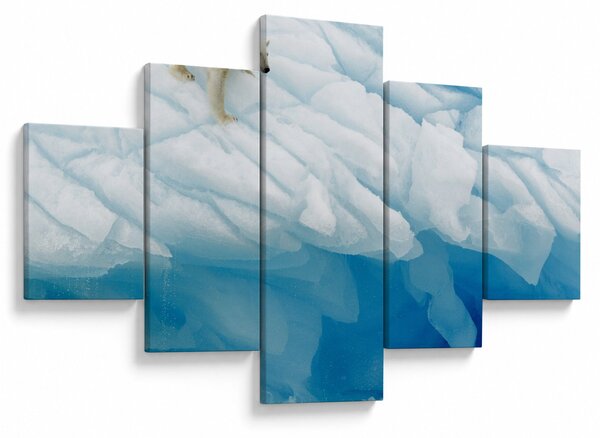 Obraz - Niedźwiedź polarny (125x70 cm)