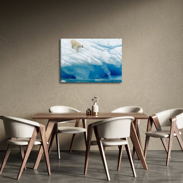 Obraz - Niedźwiedź polarny (70x50 cm)