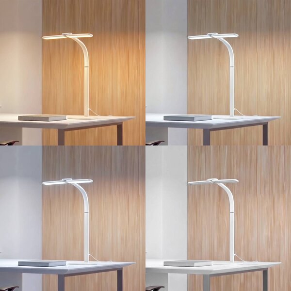 Lampa stołowa Fynnon Arcchio, możliwość ściemniania, biały / opal, biuro, metal, nowoczesny