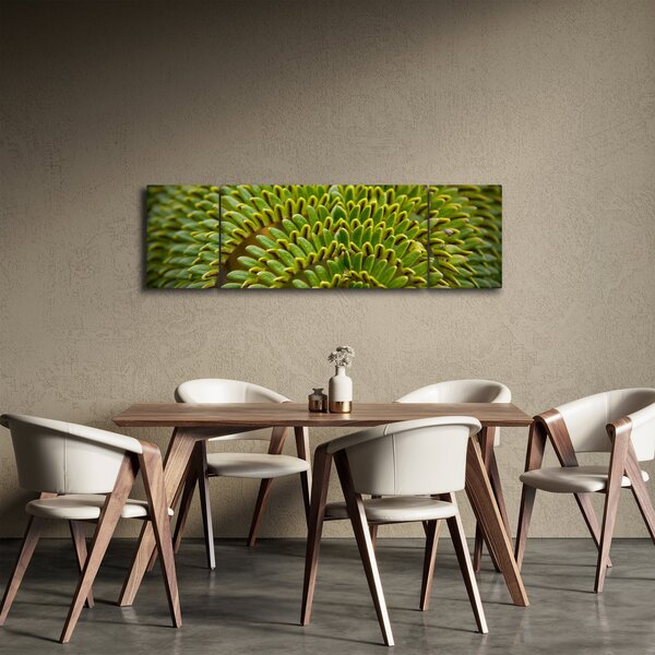 Obraz - Paproć (170x50 cm)
