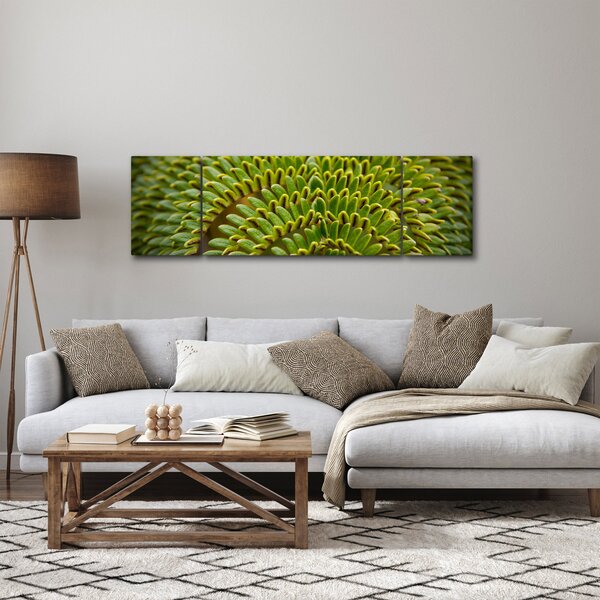 Obraz - Paproć (170x50 cm)