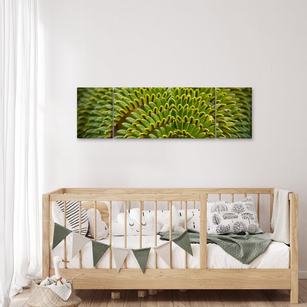 Obraz - Paproć (170x50 cm)