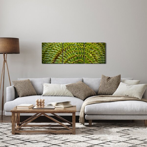 Obraz - Paproć (z zegarem) (90x30 cm)