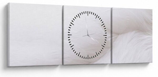 Obraz - Białe pióro (z zegarem) (90x30 cm)