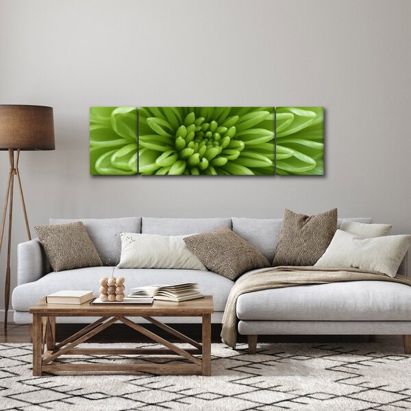 Obraz - Obraz rośliny w trybie makro (170x50 cm)