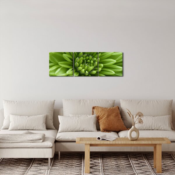 Obraz - Obraz rośliny w trybie makro (z zegarem) (90x30 cm)