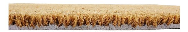 Wycieraczka z włókna kokosowego 40x60 cm Autumn Leaves – Artsy Doormats
