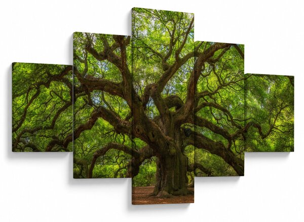 Obraz - Zielone drzewo (125x70 cm)