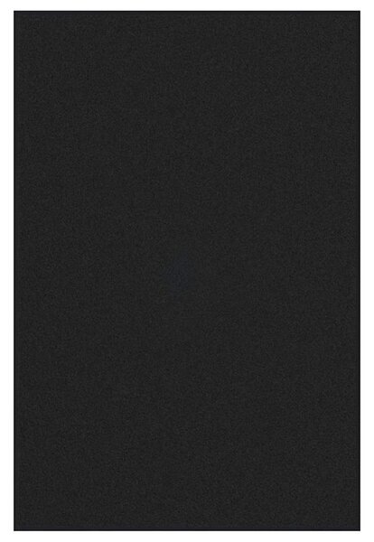 Dywanik wejściowy Czarny 120 x 180 cm 100% poliamid