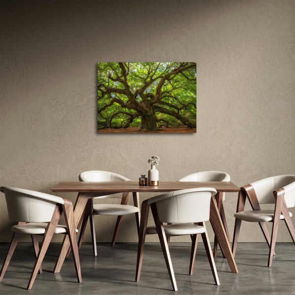 Obraz - Zielone drzewo (70x50 cm)