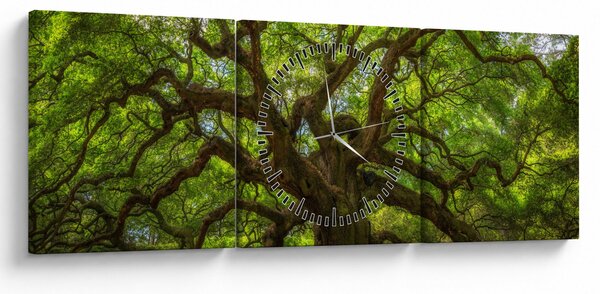 Obraz - Zielone drzewo (z zegarem) (90x30 cm)
