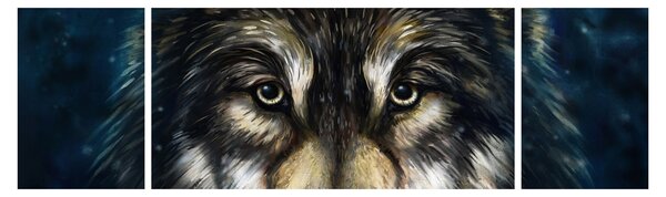 Obraz - Wilk (170x50 cm)