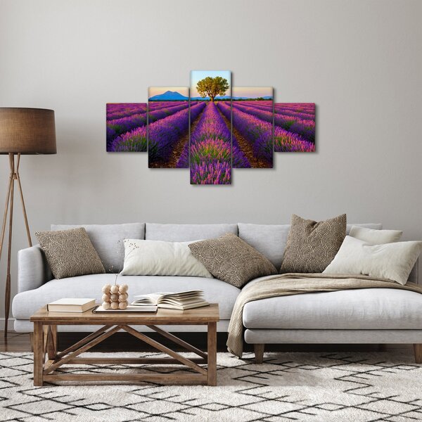 Obraz - Pole lawendy (125x70 cm)