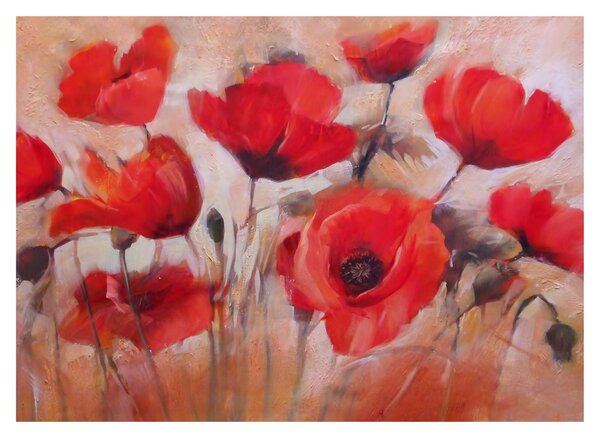 Obraz - Wilcze maki (70x50 cm)