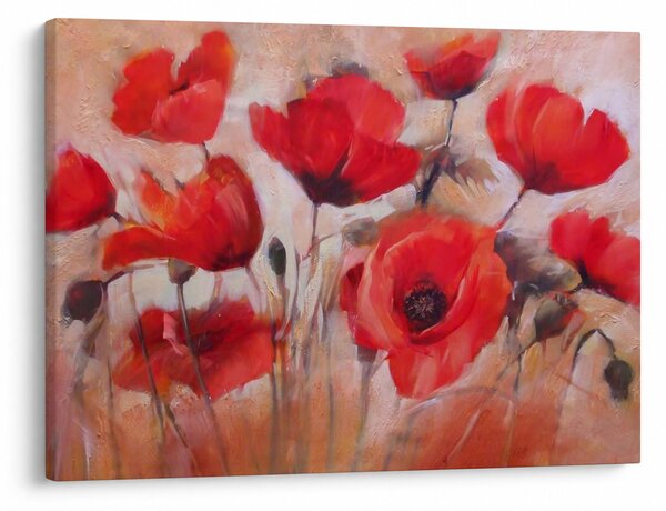 Obraz - Wilcze maki (70x50 cm)