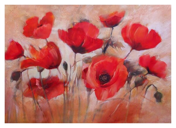 Obraz na szkle - Wilcze maki (70x50 cm)