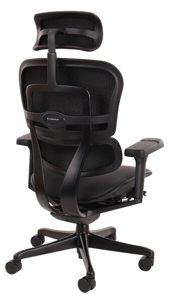 Fotel ergonomiczny Ergohuman 2 Ultra LE01, do biura, obrotowy, skórzany, gamingowy