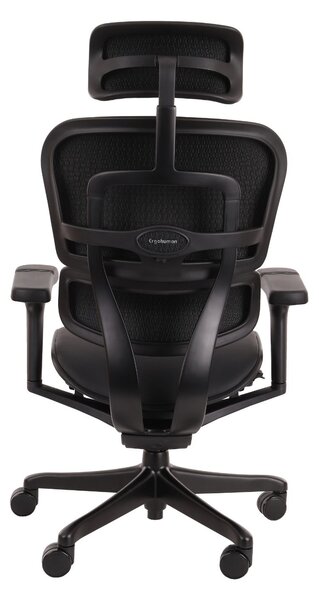 Fotel ergonomiczny Ergohuman 2 Ultra LE01, do biura, obrotowy, skórzany, gamingowy