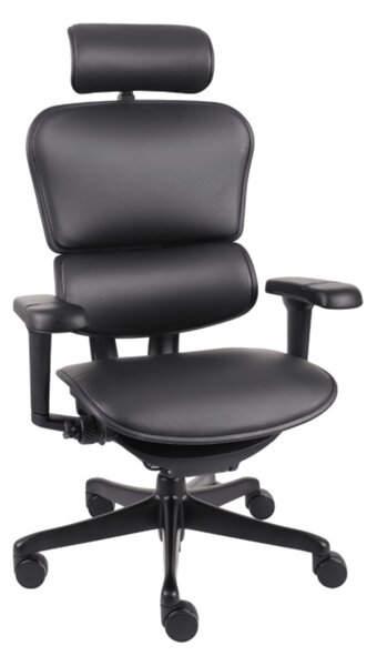 Fotel ergonomiczny Ergohuman 2 Ultra LE01, do biura, obrotowy, skórzany, gamingowy