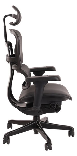 Fotel ergonomiczny Ergohuman 2 Ultra LE01, do biura, obrotowy, skórzany, gamingowy