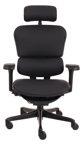 Fotel ergonomiczny Ergohuman 2 Ultra LE01, do biura, obrotowy, skórzany, gamingowy