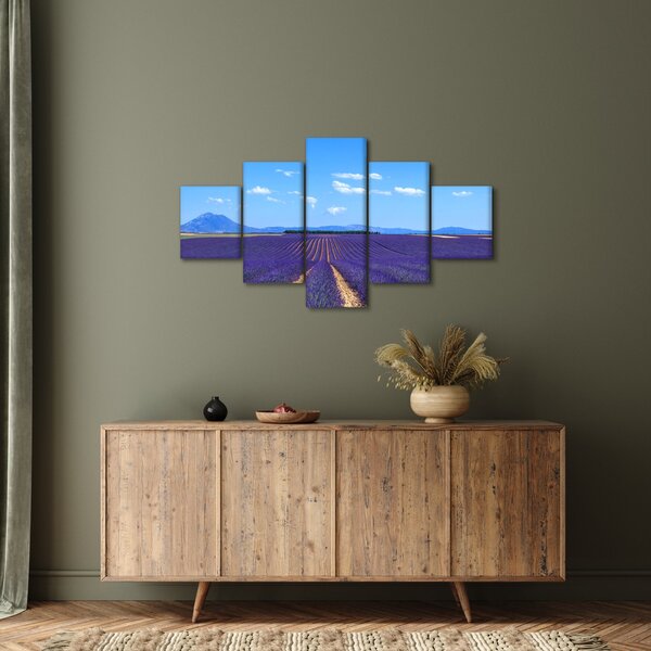 Obraz - Pole lawendy (125x70 cm)