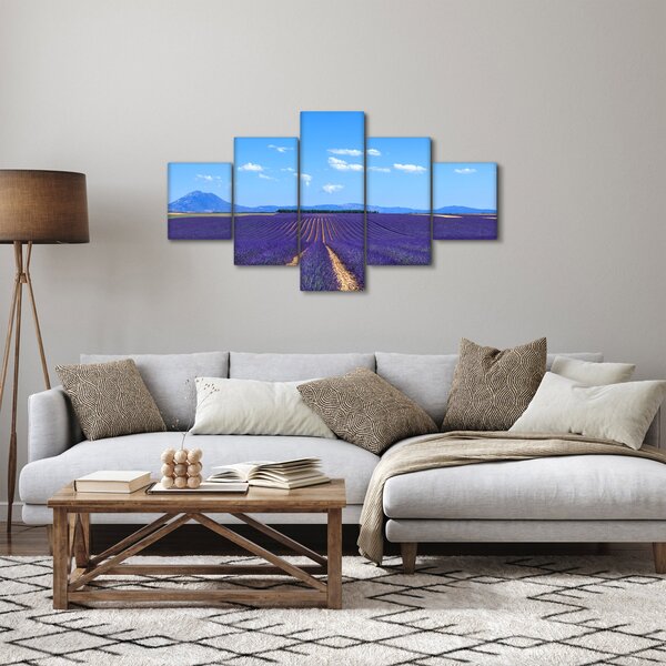 Obraz - Pole lawendy (125x70 cm)
