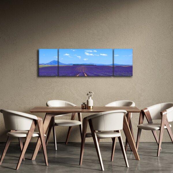 Obraz - Pole lawendy (170x50 cm)