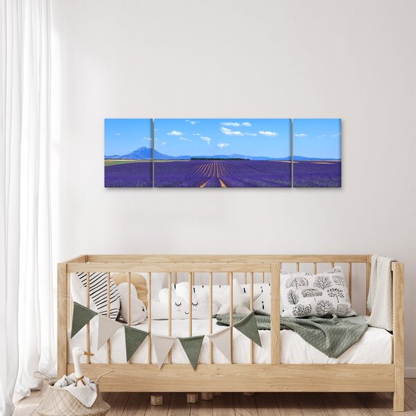 Obraz - Pole lawendy (170x50 cm)