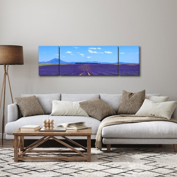 Obraz - Pole lawendy (170x50 cm)