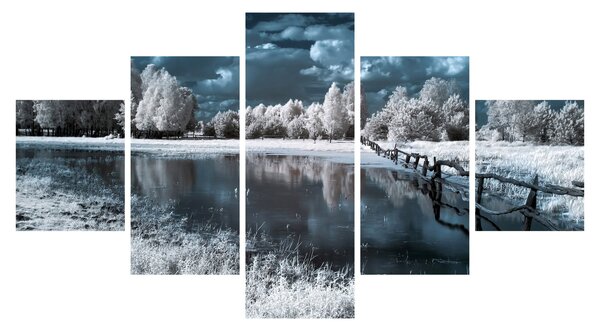 Obraz - Zamarznięty krajobraz (125x70 cm)