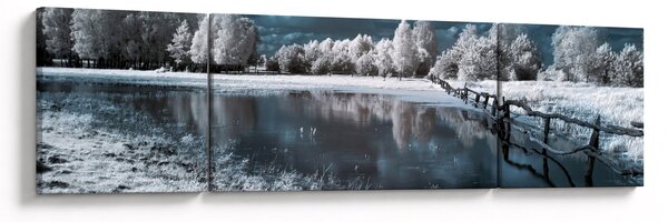 Obraz - Zamarznięty krajobraz (170x50 cm)