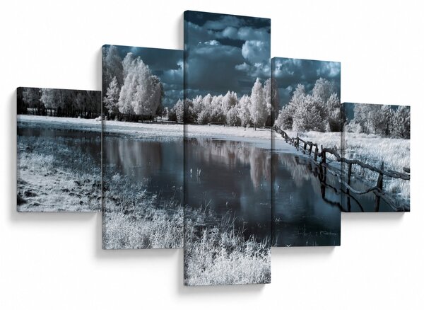 Obraz - Zamarznięty krajobraz (125x70 cm)