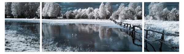 Obraz - Zamarznięty krajobraz (170x50 cm)