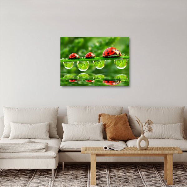 Obraz - Sunshine of the Seven Suns (70x50 cm)