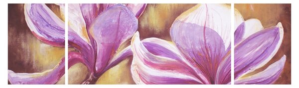 Obraz - Kwiaty magnolii (170x50 cm)